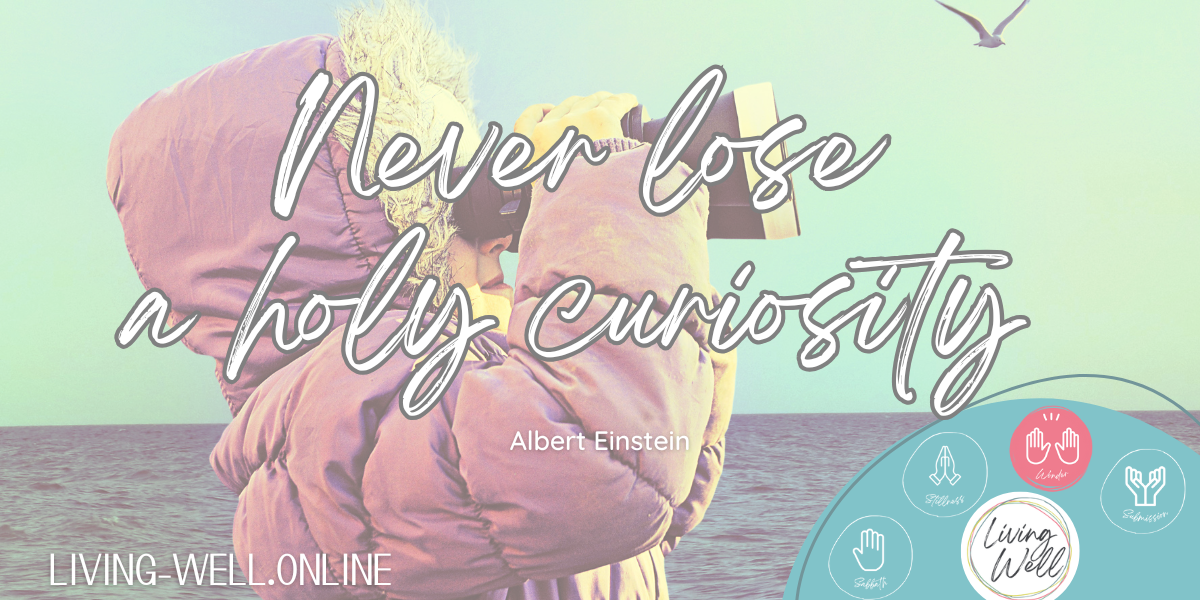 Never lose a holy curiosity