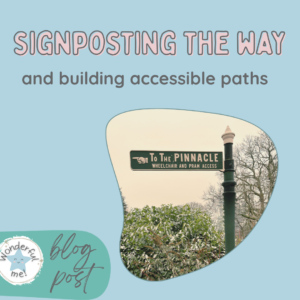 Social Media Scheduled