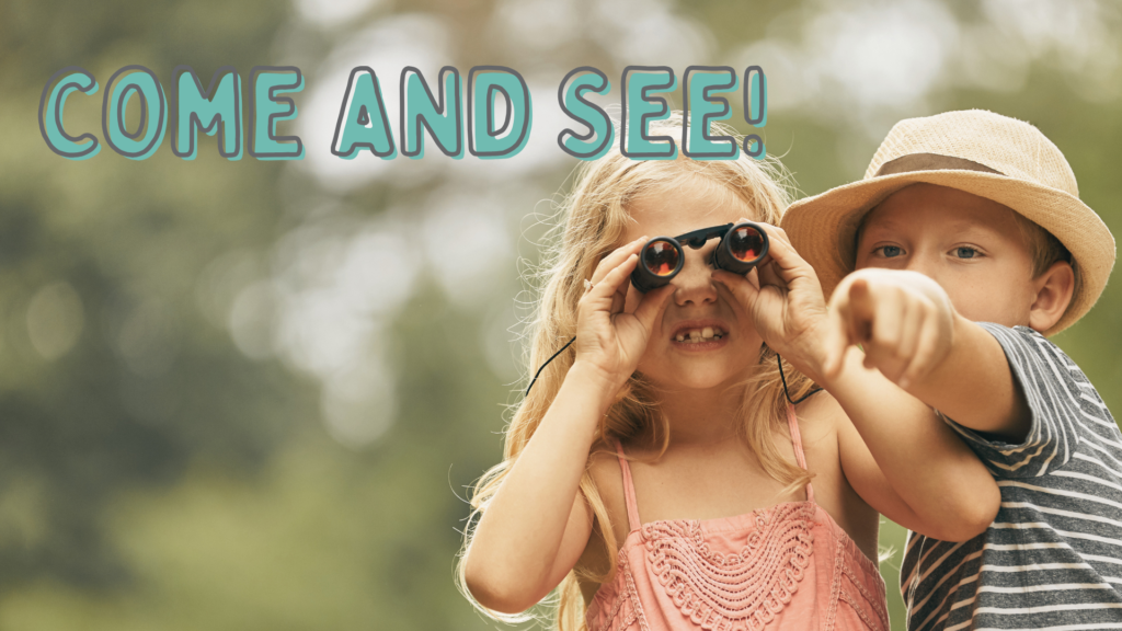 Our senses are an incredible part of how we are fearfully and wonderfully made that help us to learn about and engage with the world around us . . .